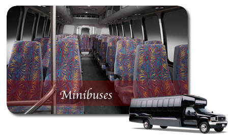Mini Buses